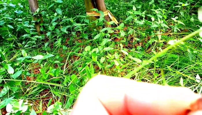 Khuấy đều cho đường tan hoàn toàn.