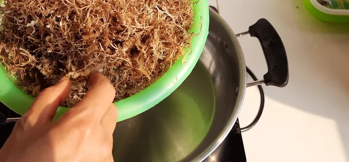 Ngâm rong biển khô với nước sạch để loại bỏ tạp chất, cát, và làm sạch rong biển. (Nhặt bỏ những bông đen nhỏ)