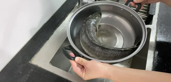 Làm sạch cá: Dùng muối và giấm (hoặc gừng, rượu) chà xát cá để khử mùi tanh và nhớt. Rửa sạch lại với nước. Cắt cá thành khoanh dày khoảng 2cm, có thể để nguyên con hoặc khứa tùy thích.