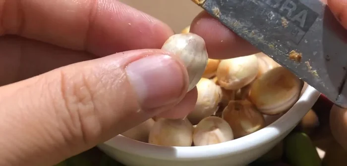 Lột bỏ lớp vỏ lụa bên ngoài hạt sen bằng dao hoặc dùng tay chà mạnh để loại bỏ lớp vỏ.