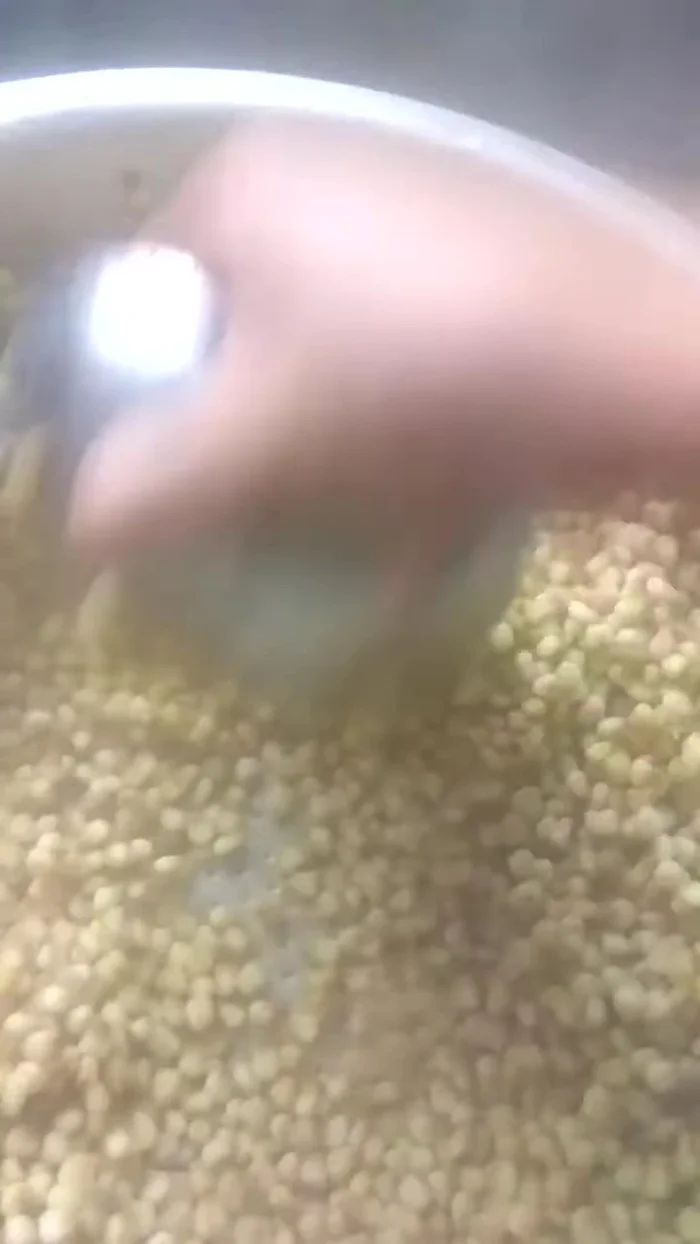 Luộc ngô nếp lại một lần nữa, đổ bỏ nước.