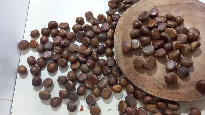 Chọn mua hạt dẻ đều hạt, không bị mốc, kiểm tra kỹ để đảm bảo chất lượng.