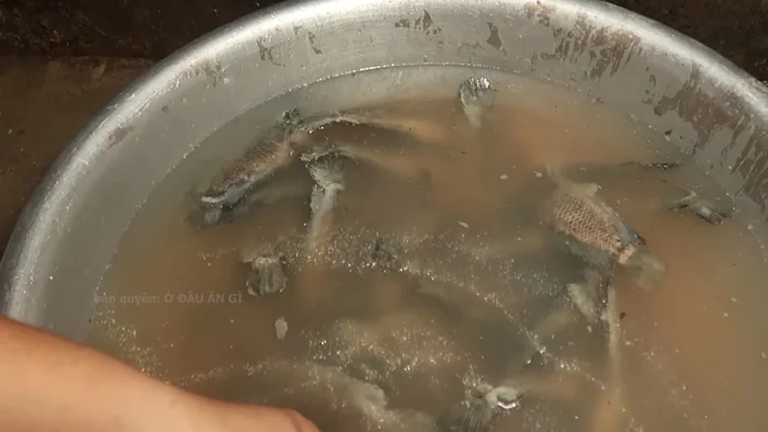 Trình bày: Cho cá rim, rau cải và bánh đa vào bát. [116.899, 611.18]