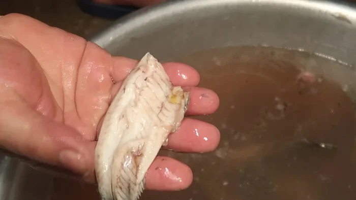 Ngâm cá: Ngâm cá vào nước sôi khoảng 20-25 phút để làm sạch nhớt, dễ bóc xương. [176.599]
