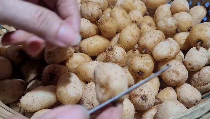 Vớt củ lùn ra để ráo nước. Lột vỏ và thưởng thức. [290.479, 306.919]