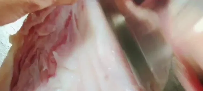 Rửa sạch thịt cá sấu, cắt theo đường xương. Dùng dao khứa thịt để gia vị thấm đều và giúp thịt nở màu.