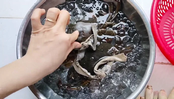Cho cua vào thau nước đá để làm cua “xỉu” tạm thời, giúp dễ dàng làm sạch.
