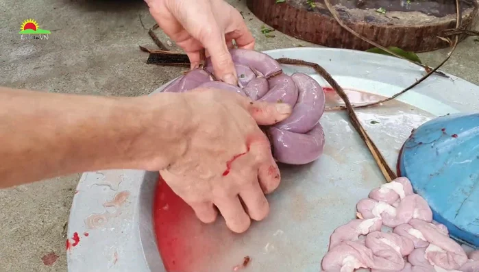 Nhồi hỗn hợp vào lòng heo đã làm sạch.