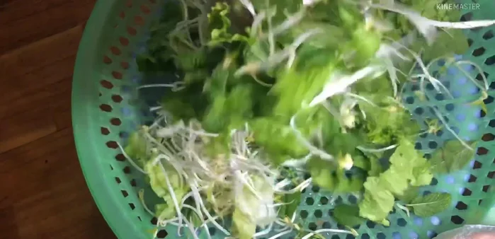 Trộn đều rau sống.