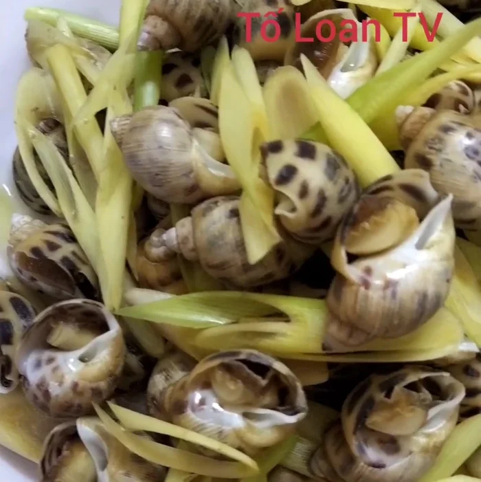 Tắt bếp và trình bày ốc ra đĩa.
