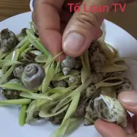 Luộc Ốc Hương Khêu Gan Ngọt, Mùi Thơm Nức Nở