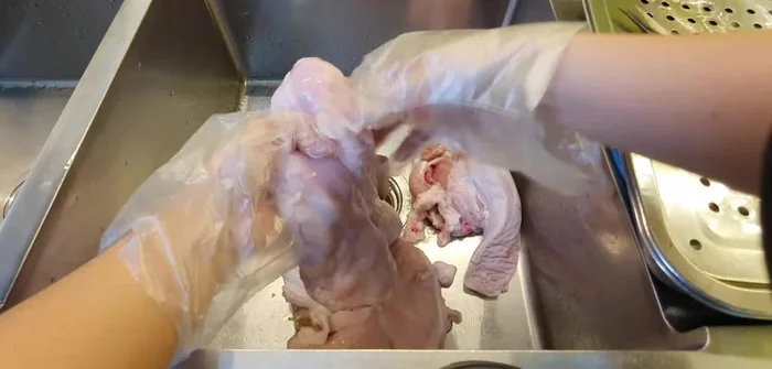 Dùng kéo tỉa bớt phần mỡ bên ngoài bao tử, cắt đôi hoặc để nguyên và lộn trái. Cắt bỏ phần thực quản trên lưỡi, làm đôi.