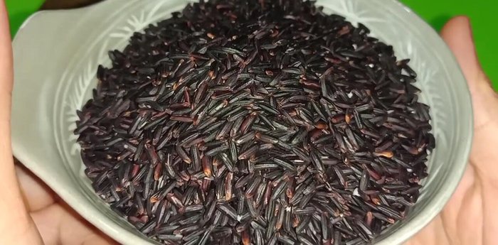 Ngâm nếp cẩm với nước sạch trong khoảng 2 ngày hoặc 5 tiếng, thay nước thường xuyên. (Nếu không có thời gian thì có thể ngâm 1 ngày). Sau đó, vớt nếp cẩm ra để ráo nước.