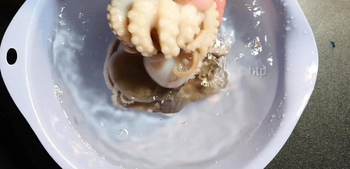 Sơ chế bạch tuộc: Loại bỏ phần ruột, mắt, và những phần vàng vàng bên trong. Rửa sạch, bóp với muối, chanh, giấm để khử nhớt. Rửa lại nhiều lần với nước sạch.