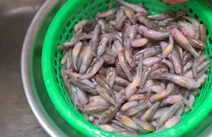 Làm sạch cá bống trứng: Chà sạch, cắt đầu, đuôi, rửa với nước muối.