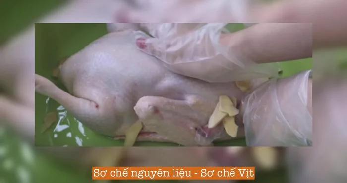 Sơ chế thịt vịt: dùng muối hạt chà xát để diệt khuẩn và loại bỏ mùi hôi, rửa sạch, xát lại với rượu gừng, rửa sạch và để ráo.