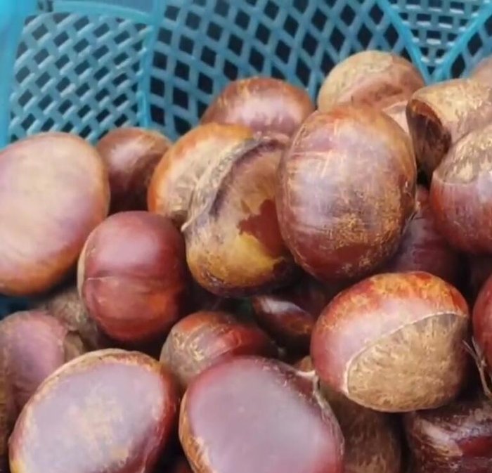 Vớt hạt dẻ ra để ráo nước. Dùng kéo hoặc dao khứa nhẹ phần đầu của hạt dẻ để dễ bóc khi nướng.