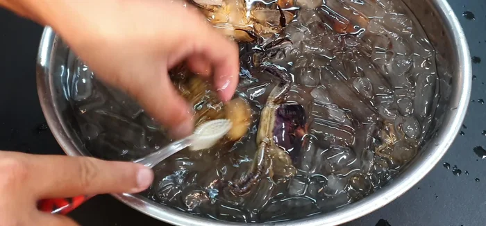 Sử dụng bàn chải đánh răng chà sạch rong rêu, bụi bẩn trên cua.