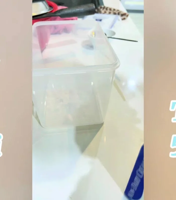 Thêm 4g muối vào tô sữa chua.