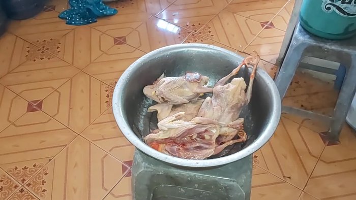 Kiểm tra độ chín: Xem bồ câu đã chín chưa.