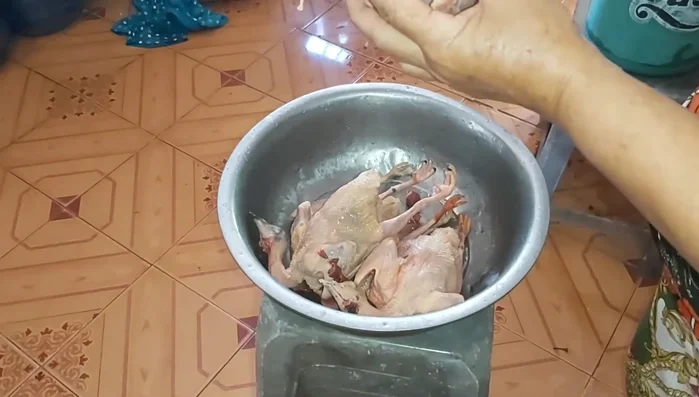 Ướp bồ câu: Ướp bồ câu với sả, tỏi, ớt, muối, bột ngọt, bia.
