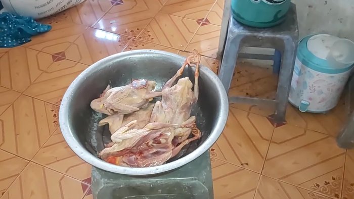 Sơ chế bồ câu: Làm sạch bồ câu.