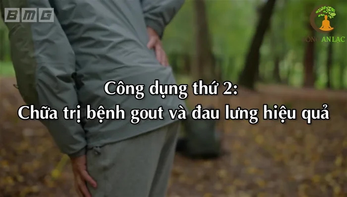 Thêm lá đinh lăng vào nồi canh khi cá gần chín (417.09).