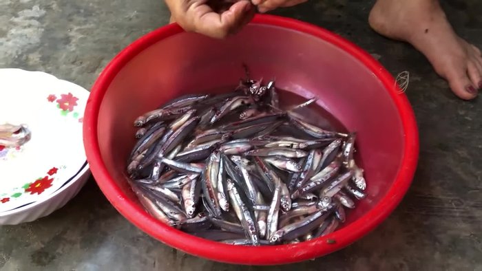 Chọn cá cơm tươi, to. Rửa sạch.