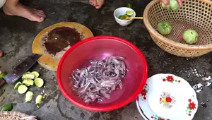 Gỏi Cá Cơm Tươi Sống Bình Định - Đặc Sản Miền Trung