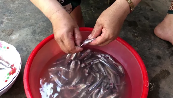 Pha nước chấm: Nước mắm, đường, ớt, chanh theo khẩu vị.