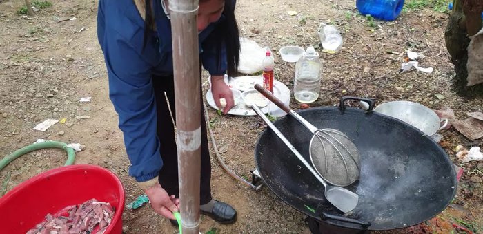Cho cá chép vào xào, đảo đều tay cho cá chín vàng giòn. (Chú ý lửa để cá không bị cháy).