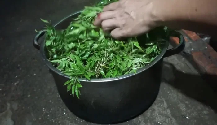 Thêm một lớp lá đinh lăng, hành, tỏi lên trên cùng.