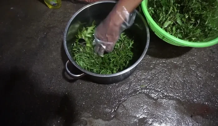 Xếp cá lên trên lớp lá đinh lăng.