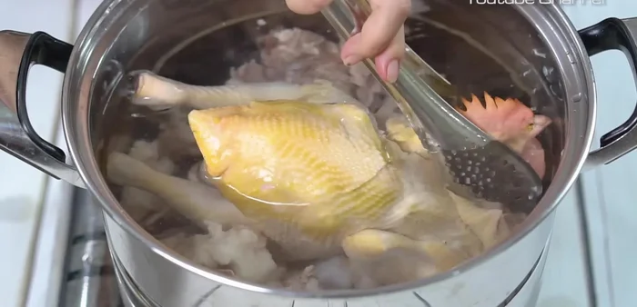 Cho gà vào luộc trong nước lạnh, thêm muối, đường phèn, đun sôi rồi hạ nhỏ lửa, hớt bọt, luộc 20 phút.