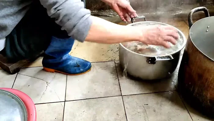 Rửa sạch thịt chó để loại bỏ máu bầm.
