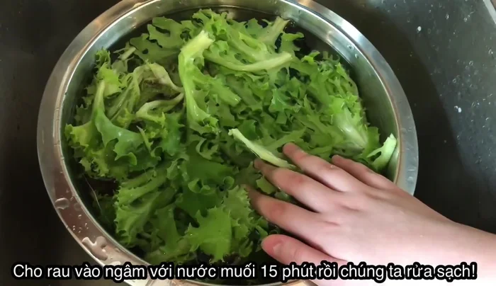 Chuẩn bị rau sống: Rửa sạch, thái nhỏ, trộn với nước và muối, để yên 15 phút rồi rửa lại trước khi ăn.