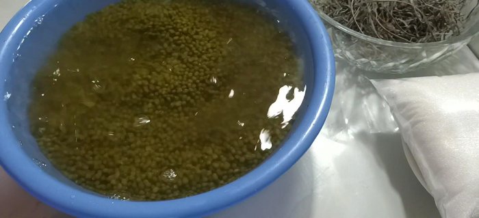 Ngâm đậu xanh trong nước khoảng 6-8 tiếng cho đậu nở bung. (118.86)