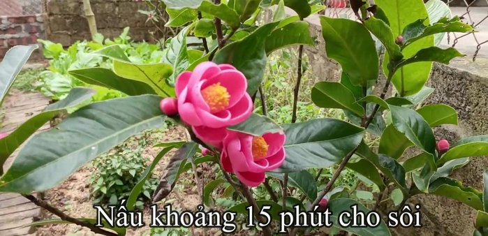 Nấu sôi, vớt bọt để nước trong. Nấu lửa to cho xương chín kỹ.