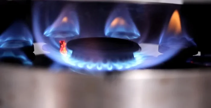 Cho tổ ong và gân bò vào nồi nước dùng.