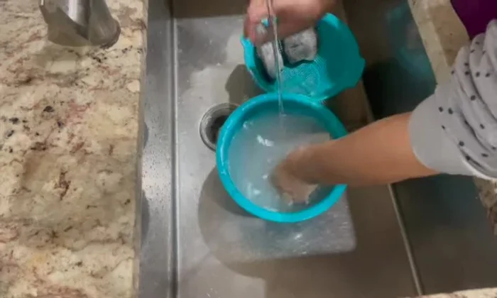 Chiên cá khô với lửa nhỏ đến khi vàng giòn. [519.039]