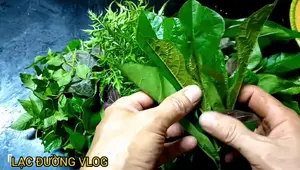 Cách Làm Gỏi Cá Chép Ngon Tuyệt - Món Ăn Dân Dã