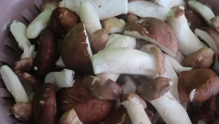 Thêm nấm đùi gà, nấm đông cô, củ cải muối vào nước dùng.