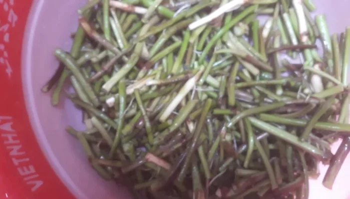 Rửa sạch ngó khoai, cho vào một ít muối, dùng găng tay bóp kỹ để loại bỏ chất gây ngứa.