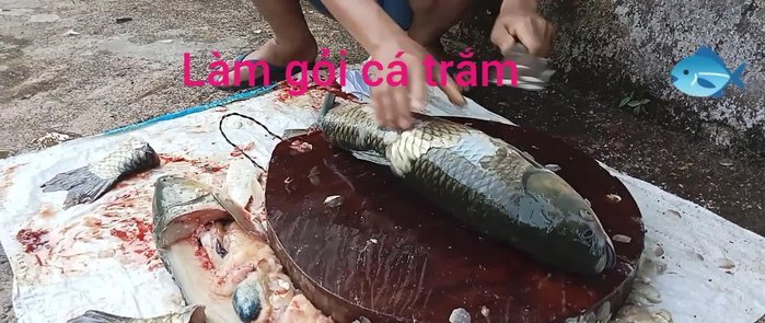 Sơ chế cá trắm: thái mỏng hoặc xắt nhỏ tùy thích.