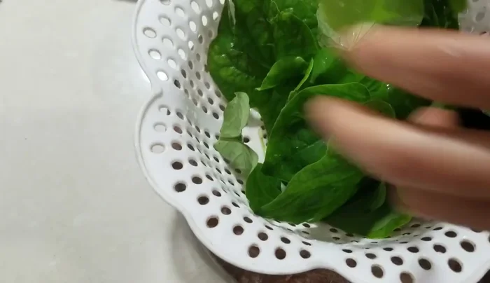 Thái nhỏ lá lốt.