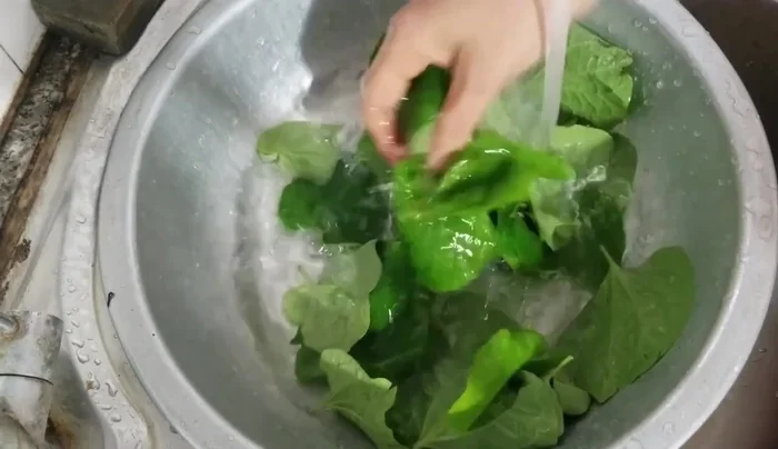 Rửa sạch lá lốt.