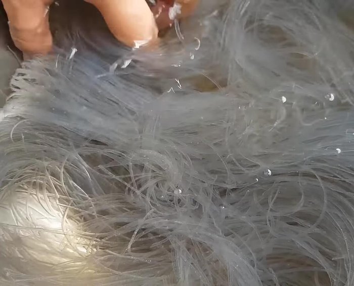 Cắt đôi hoặc cắt miến thành ba phần cho ngắn.