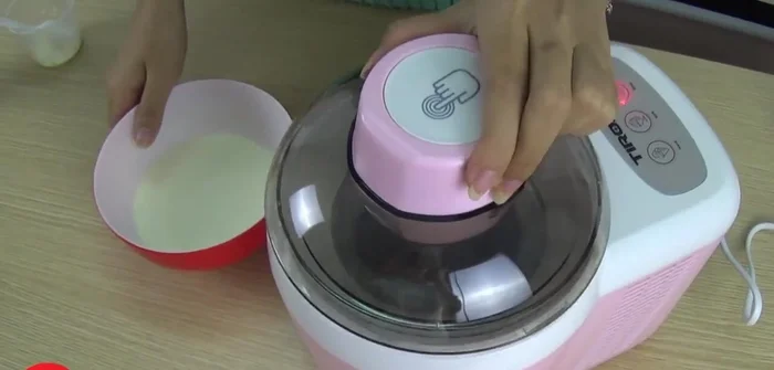 Đổ hỗn hợp (không quá 300ml) vào máy làm kem Tiross TS9090.