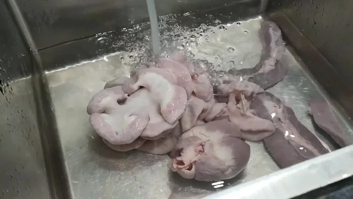 Làm sạch tim, lòng, lá lách heo.