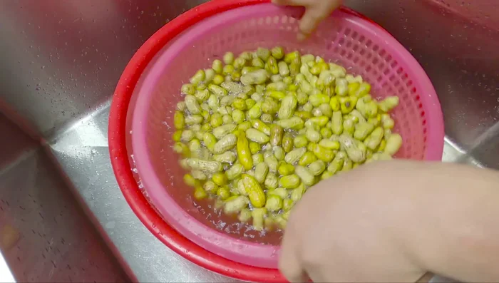 Vo sạch lạc. (109.79)